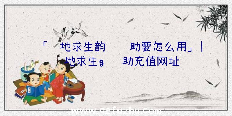 「绝地求生韵达辅助要怎么用」|绝地求生g